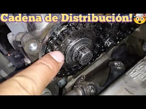 Importancia del Cambio de Correas de Distribuci&oacute;n en la Revisi&oacute;n Peri&oacute;dica