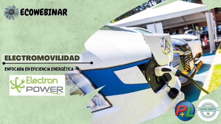 Innovaci&oacute;n en la Gesti&oacute;n Energ&eacute;tica de Veh&iacute;culos El&eacute;ctricos