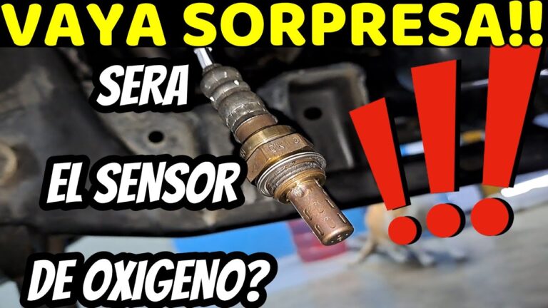 Calidad Garantizada en Veh&iacute;culos con Cadenas de Distribuci&oacute;n