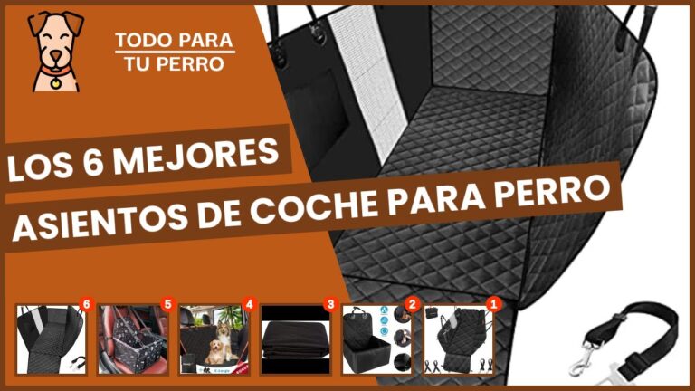 Protecci&oacute;n Duradera para Asientos de Coches