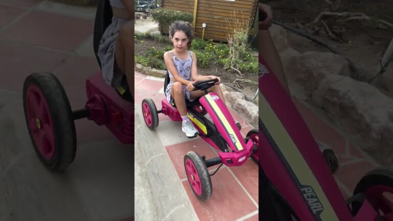 Explora la Diversidad de Pedales para Coches