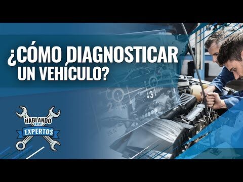 T&eacute;cnicas Visuales Efectivas para Diagnosticar Aver&iacute;as en Coches