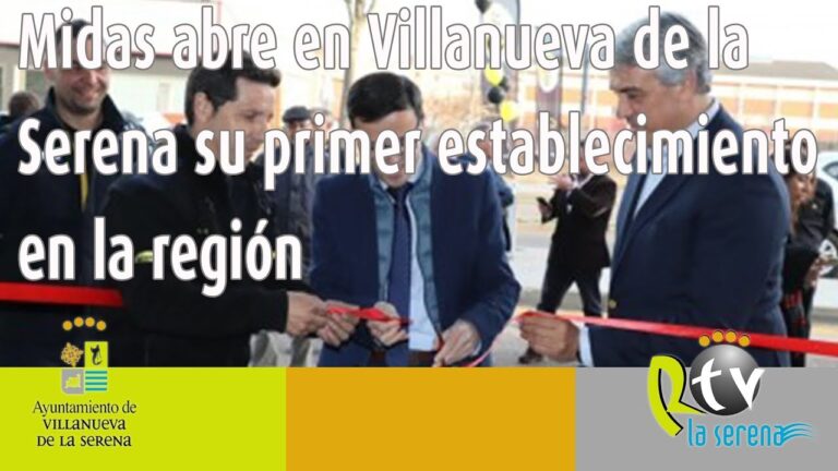 Expertos en Revisi&oacute;n de Correas de Distribuci&oacute;n