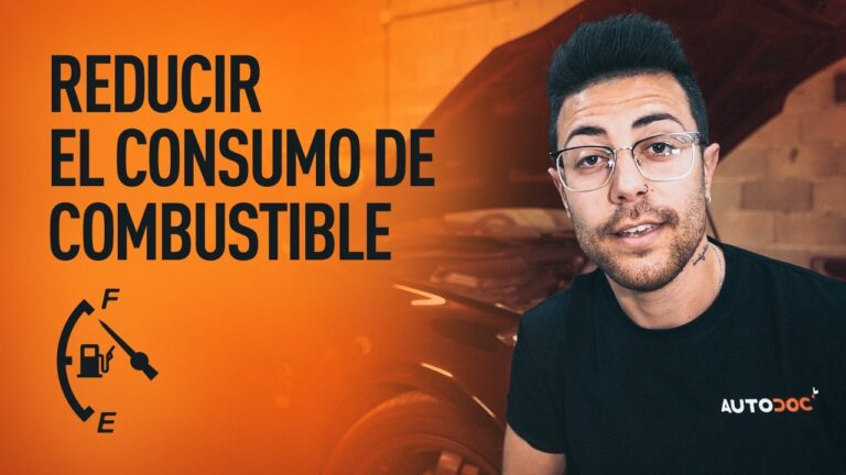 Optimizaci&oacute;n del Consumo de Combustible con Inyectores de Coches