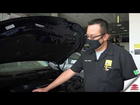 El Tama&ntilde;o Ideal de Limpiaparabrisas para tu Veh&iacute;culo