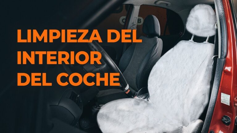 Accesorios de Interior Esenciales para Simplificar tu Vida en el Coche