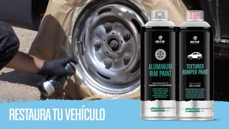 Ideas Creativas de Colores para Parachoques de Coches