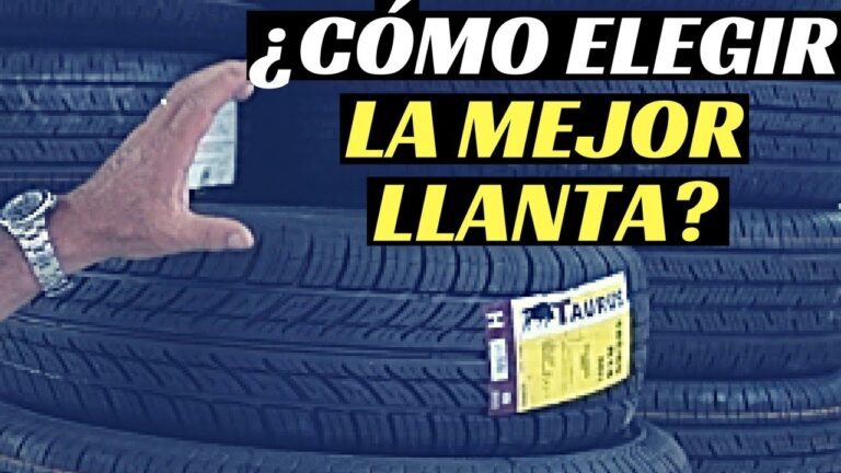 Factores Clave para Elegir Neum&aacute;ticos de Coches