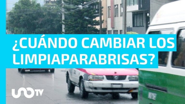 La Esencial Importancia de los Limpiaparabrisas en los Coches