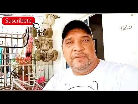 Estrategias Efectivas para el Mantenimiento Preventivo de los Limpiaparabrisas