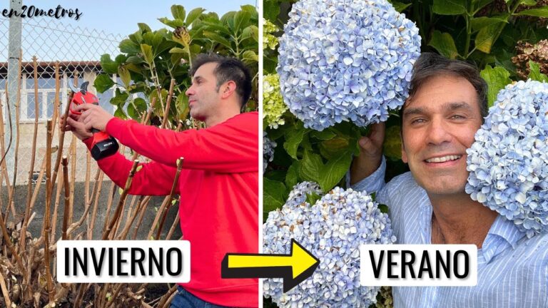Cuidados Esenciales para la Bater&iacute;a en Invierno
