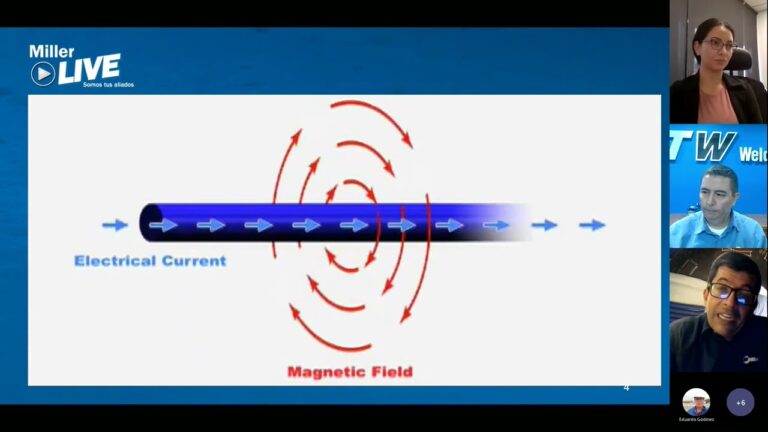 Colectores de Escape: Aliados Ecol&oacute;gicos Esenciales
