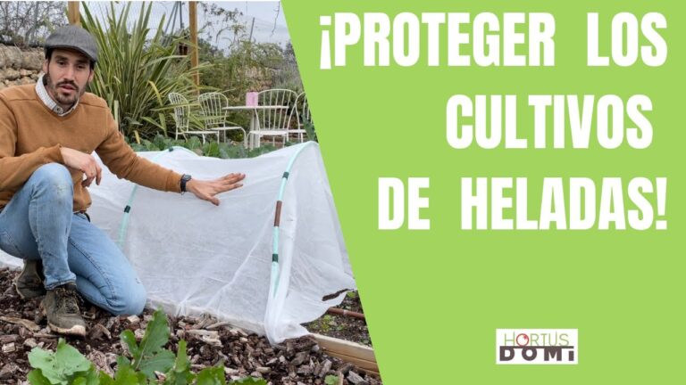 Consejos para Prevenir Problemas con la Bater&iacute;a en Invierno