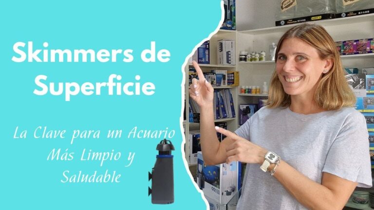 Compatibilidad del Tama&ntilde;o del Filtro de Aceite: Clave para un Rendimiento &Oacute;ptimo