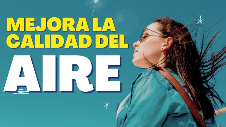Filtros de Aire: Mejora Efectiva de la Calidad del Aire