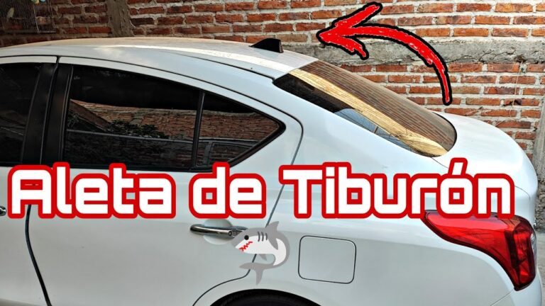 Antenas Decorativas: Personaliza tu Coche con Estilo