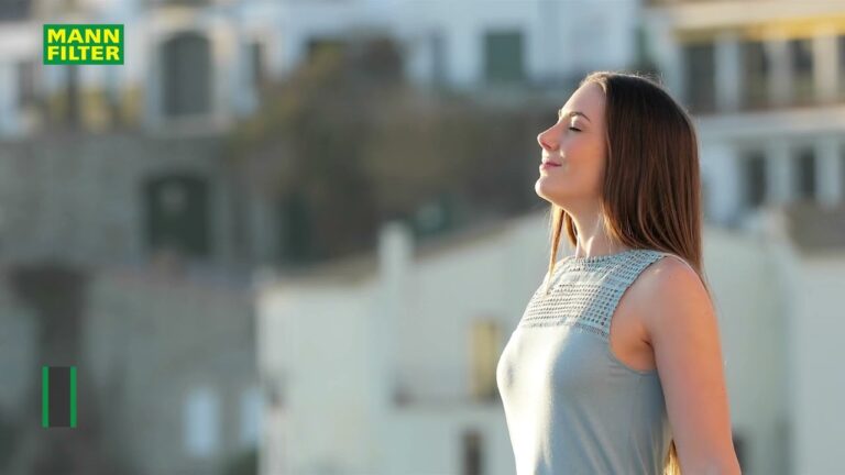 Filtros de Aire: Esenciales para un Aire Limpio en Coches