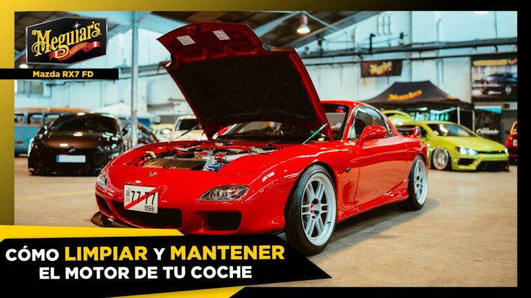 Desengrasante Eficaz para Limpiar y Proteger el Motor del Coche