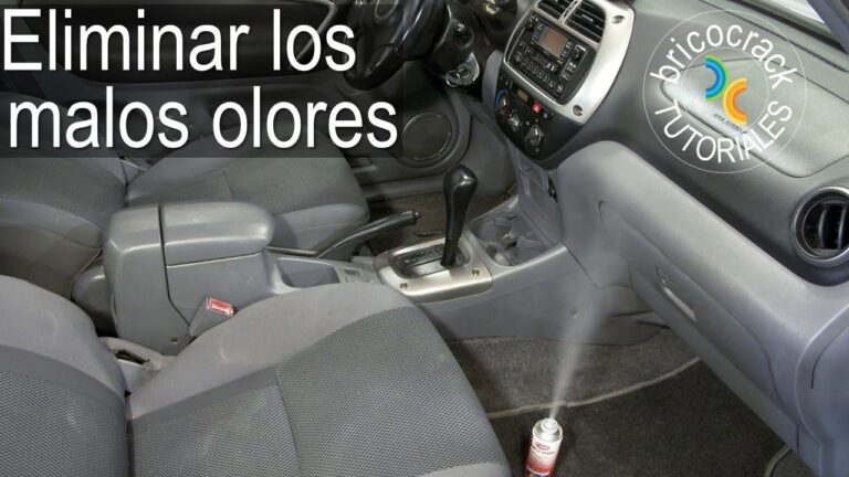 C&oacute;mo las alfombrillas protegen y mantienen limpio tu coche