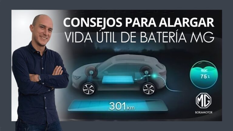 Consejos para Prolongar la Vida &Uacute;til de las Bater&iacute;as de Coches