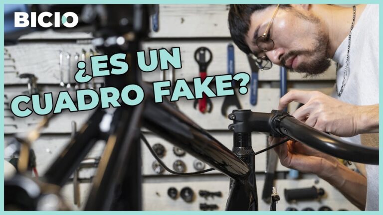 Repuestos Auténticos con Entrega Rápida